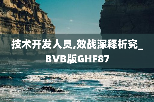 技术开发人员,效战深释析究_BVB版GHF87