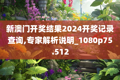 新澳门开奖结果2024开奖记录查询,专家解析说明_1080p75.512