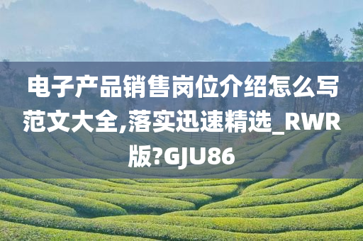 电子产品销售岗位介绍怎么写范文大全,落实迅速精选_RWR版?GJU86