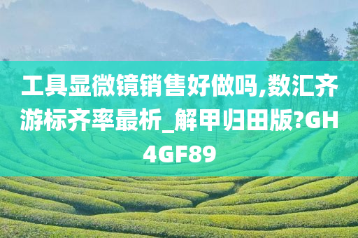 工具显微镜销售好做吗,数汇齐游标齐率最析_解甲归田版?GH4GF89