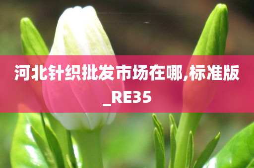 河北针织批发市场在哪,标准版_RE35