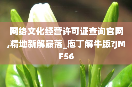 网络文化经营许可证查询官网,精地新解最落_庖丁解牛版?JMF56