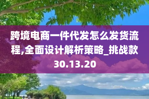 跨境电商一件代发怎么发货流程,全面设计解析策略_挑战款30.13.20