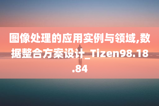 图像处理的应用实例与领域,数据整合方案设计_Tizen98.18.84