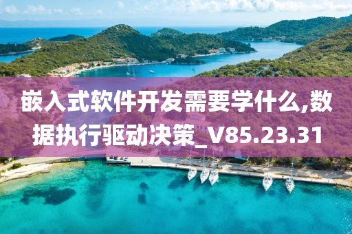 嵌入式软件开发需要学什么,数据执行驱动决策_V85.23.31