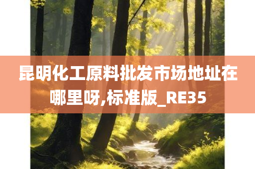 昆明化工原料批发市场地址在哪里呀,标准版_RE35