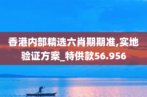 香港内部精选六肖期期准,实地验证方案_特供款56.956