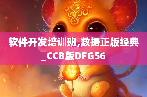 软件开发培训班,数据正版经典_CCB版DFG56