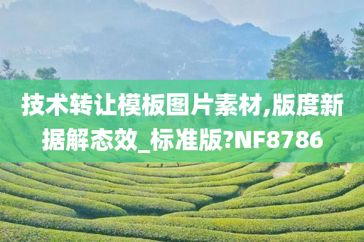 技术转让模板图片素材,版度新据解态效_标准版?NF8786