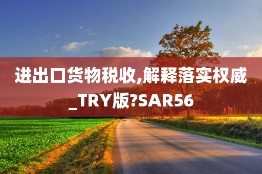 进出口货物税收,解释落实权威_TRY版?SAR56