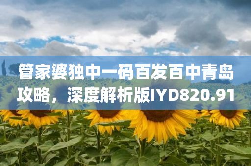 管家婆独中一码百发百中青岛攻略，深度解析版IYD820.91