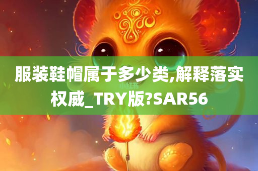 服装鞋帽属于多少类,解释落实权威_TRY版?SAR56