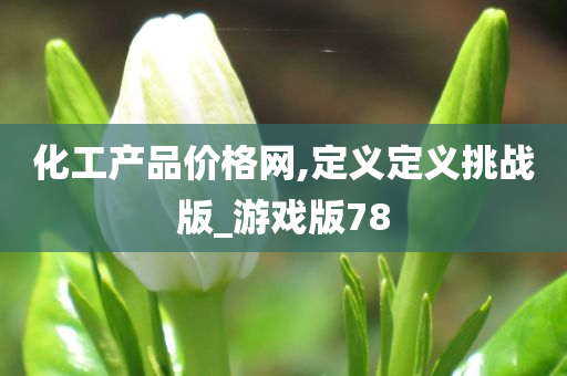 化工产品价格网,定义定义挑战版_游戏版78