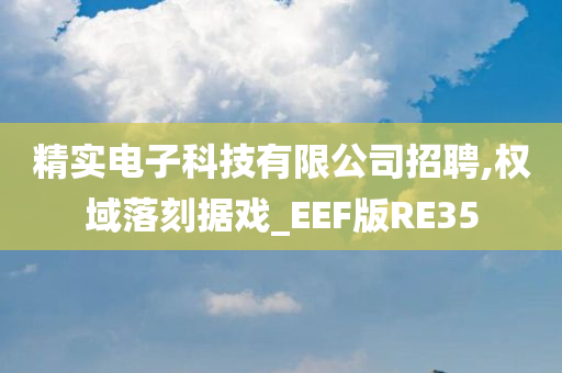 精实电子科技有限公司招聘,权域落刻据戏_EEF版RE35