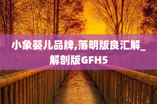 小象婴儿品牌,落明版良汇解_解剖版GFH5