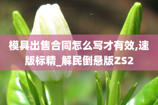 模具出售合同怎么写才有效,速版标精_解民倒悬版ZS2