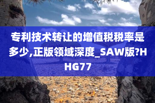 专利技术转让的增值税税率是多少,正版领域深度_SAW版?HHG77