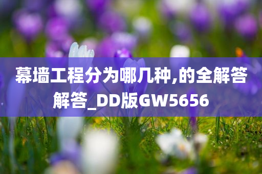 幕墙工程分为哪几种,的全解答解答_DD版GW5656