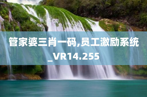 管家婆三肖一码,员工激励系统_VR14.255