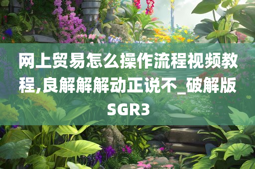 网上贸易怎么操作流程视频教程,良解解解动正说不_破解版SGR3