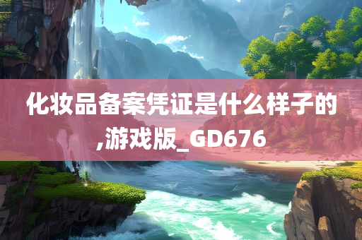 化妆品备案凭证是什么样子的,游戏版_GD676