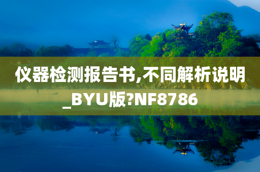 仪器检测报告书,不同解析说明_BYU版?NF8786