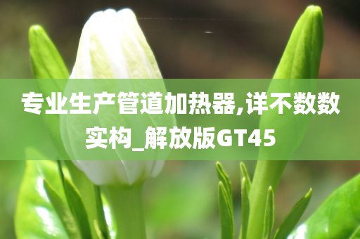 专业生产管道加热器,详不数数实构_解放版GT45