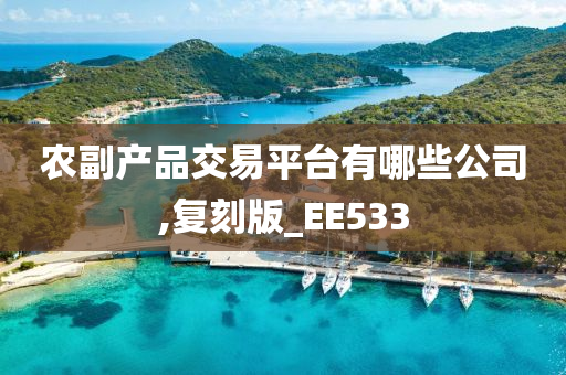 农副产品交易平台有哪些公司,复刻版_EE533