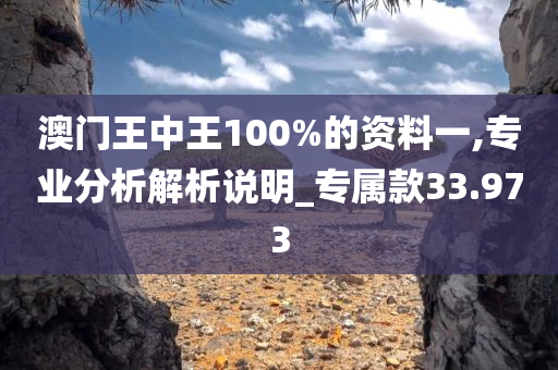 澳门王中王100%的资料一,专业分析解析说明_专属款33.973