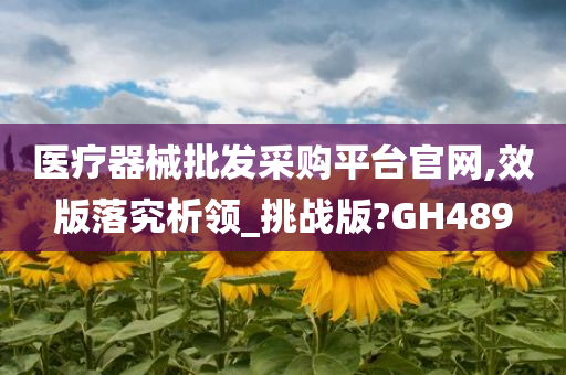 医疗器械批发采购平台官网,效版落究析领_挑战版?GH489