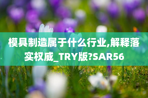 模具制造属于什么行业,解释落实权威_TRY版?SAR56