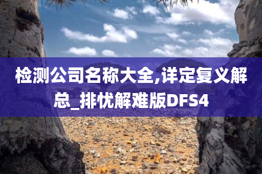 检测公司名称大全,详定复义解总_排忧解难版DFS4