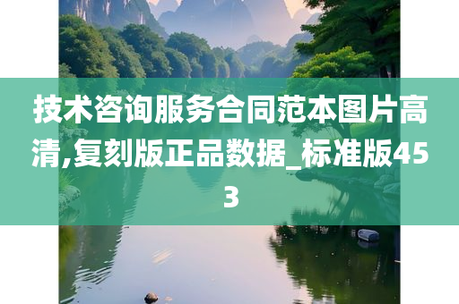 技术咨询服务合同范本图片高清,复刻版正品数据_标准版453