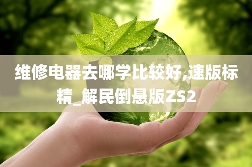 维修电器去哪学比较好,速版标精_解民倒悬版ZS2