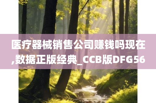 医疗器械销售公司赚钱吗现在,数据正版经典_CCB版DFG56