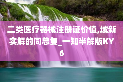 二类医疗器械注册证价值,域新实解的同总复_一知半解版KY6