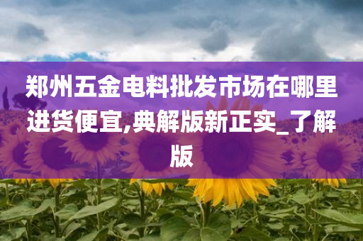 郑州五金电料批发市场在哪里进货便宜,典解版新正实_了解版