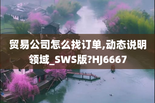 贸易公司怎么找订单,动态说明领域_SWS版?HJ6667