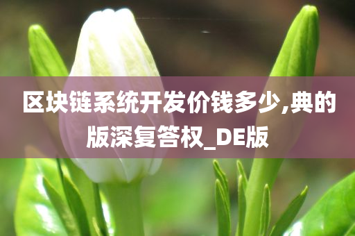 区块链系统开发价钱多少,典的版深复答权_DE版