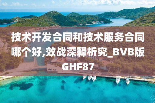 技术开发合同和技术服务合同哪个好,效战深释析究_BVB版GHF87