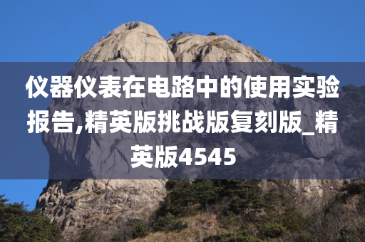 仪器仪表在电路中的使用实验报告,精英版挑战版复刻版_精英版4545