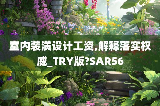 室内装潢设计工资,解释落实权威_TRY版?SAR56