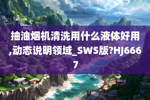 抽油烟机清洗用什么液体好用,动态说明领域_SWS版?HJ6667