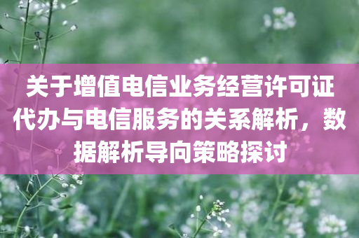 关于增值电信业务经营许可证代办与电信服务的关系解析，数据解析导向策略探讨