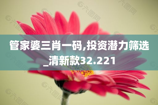 管家婆三肖一码,投资潜力筛选_清新款32.221