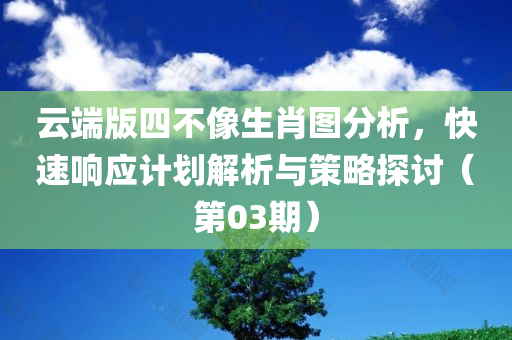 云端版四不像生肖图分析，快速响应计划解析与策略探讨（第03期）