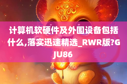 计算机软硬件及外围设备包括什么,落实迅速精选_RWR版?GJU86