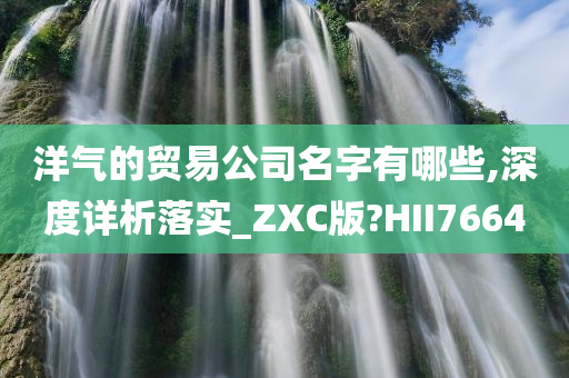 洋气的贸易公司名字有哪些,深度详析落实_ZXC版?HII7664