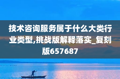 技术咨询服务属于什么大类行业类型,挑战版解释落实_复刻版657687