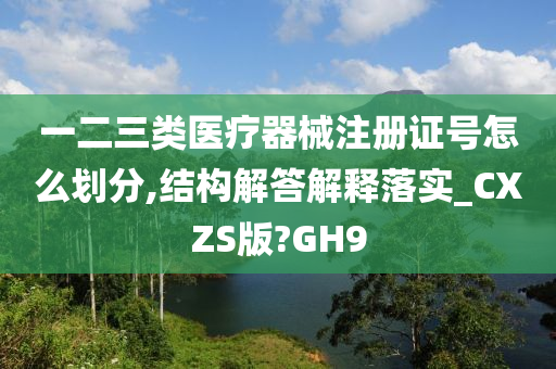 一二三类医疗器械注册证号怎么划分,结构解答解释落实_CXZS版?GH9